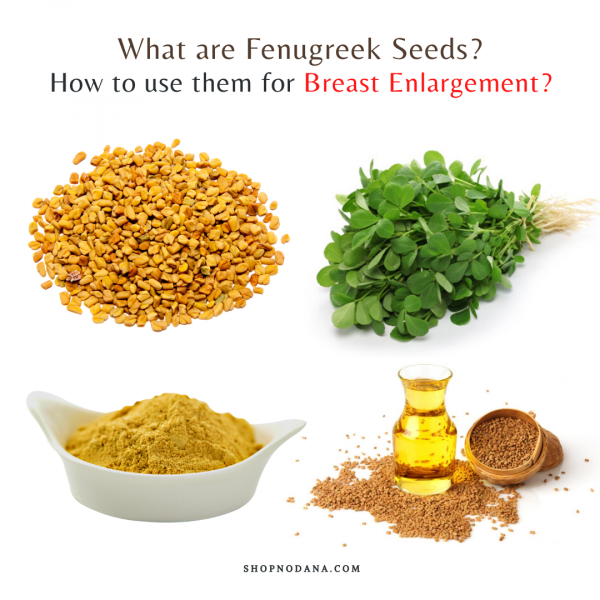 Fenugreek For Breast Enlargement- How To Use Fenugreek Seeds - Shopno Dana