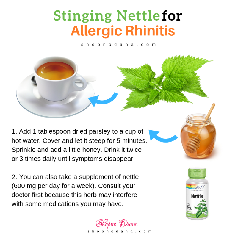 Stinging Nettle for allergic rhinitis 